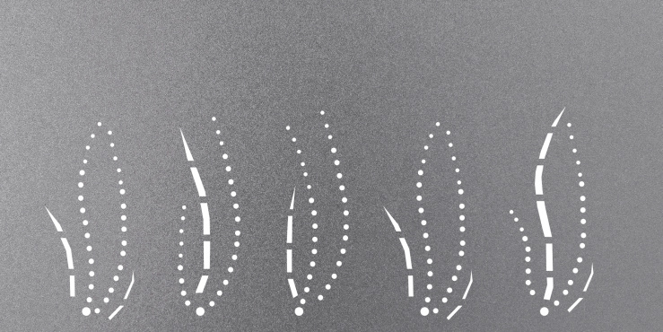Laserski izrez Curve